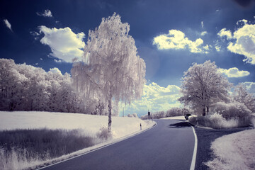 infrared photography - surreal ir photo of landscape with trees under cloudy sky - the art of our...