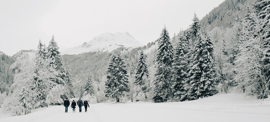 Fototapeta premium snow covered mountains