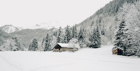 house in the mountains