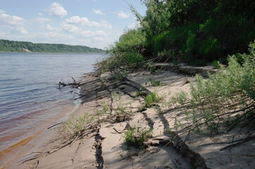sandy beach with willow bushes on an uninhabited island in the delta of the Northern Dvina River