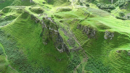 Croatia.A hill covered with emerald greenery.