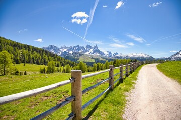 Pale di san Martino da malga Bocche trentino