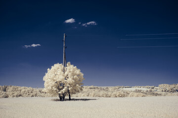 infrared photography - surreal ir photo of landscape with trees under cloudy sky - the art of our...