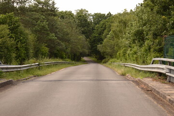 Route de campagne qui traverse une forêt avec la présence de nombreux arbres
