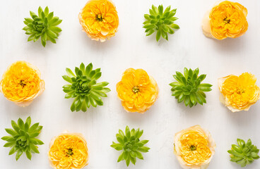 Composition of beautiful green succulent plants and yellow garden roses on light background. Top view, copy space