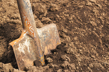 old shovel stuck into the ground at the edge of the treated area soil work on preparing field for...