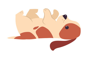 Cute Playful Puppy Dog Lying on its Back, Adorable Pet Animal with White and Brown Coat Cartoon Vector Illustration