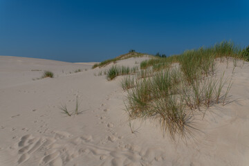 dunes in the sand