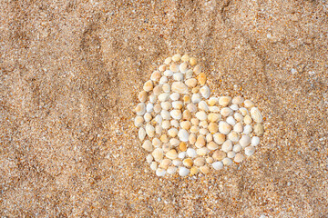 Heart symbol made with seashells on the sand. Love concept.
