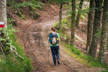 Young woman with a backpack and trekking poles hiking on a trail through the woods in the Italian Apennines in a summer day. Tuscany, Italy