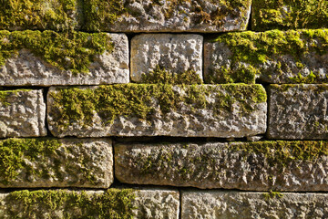 old white stone wall overgrown with green moss texture for background