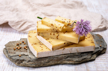 Cheese collection, matured cow cheese with mustard seeds from Belgium