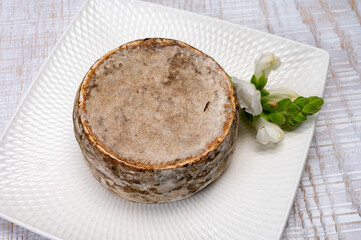 Cheese collection, matured cow cheese with mold tommette de savoie from France, cheese made in Alpine mountains