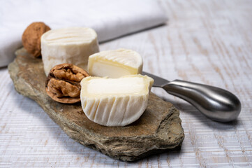 Cheese collection, soft goat French cheese with mold crottin de Chavignol produced in Loire Valley