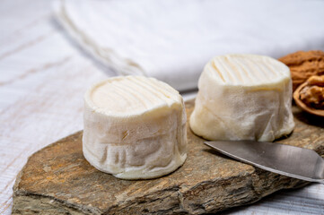 Fototapeta na wymiar Cheese collection, soft goat French cheese with mold crottin de Chavignol produced in Loire Valley