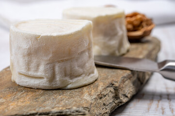 Cheese collection, soft goat French cheese with mold crottin de Chavignol produced in Loire Valley