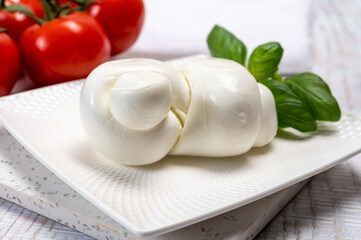 South Italian soft white mozzarella cheese made from buffalo cows milk served with ripe tomatoes and fresh green basil herb