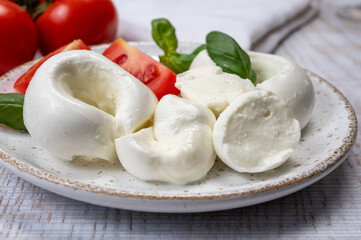 South Italian soft white mozzarella cheese made from buffalo cows milk served with ripe tomatoes and fresh green basil herb