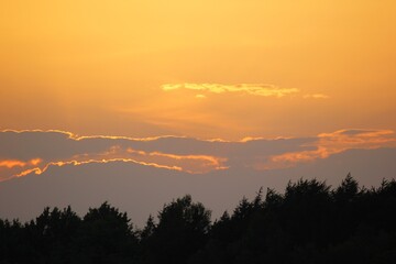 Sunset over the forest