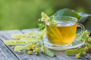 A cup of fresh green tea with linden flowers, hot drink, herbal medicine