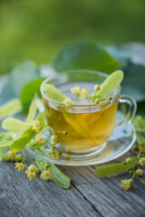 A cup of fresh green tea with linden flowers, hot drink, herbal medicine