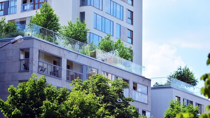 Fototapeta na wymiar Eco architecture. Green tree and apartment building. The harmony of nature and modernity.