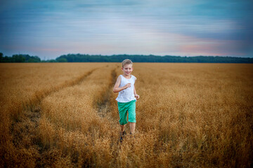 Naklejka na ściany i meble a boy in a white T-shirt and green shorts runs across a field of ripe wheat
