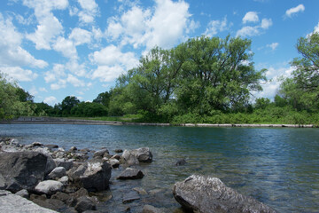 Fototapeta na wymiar River with trees in the background