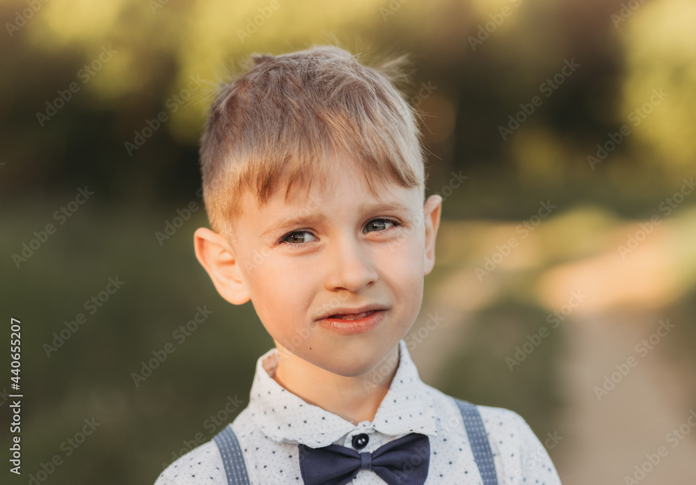 Wall mural Portrait of a little boy in a shirt in nature in summer