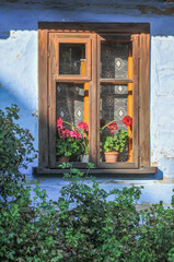 okna w ścianie wiejskiej chaty - obrazy, fototapety, plakaty