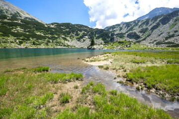 Fish Banderitsa lake at Pirin Mountain, Bulgaria
