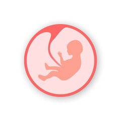 Baby in the womb. Fetus symbol, Embryo Development isolated icon. Vector illustration.