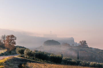 A country road at dawn with mist and trees. Assisi, Umbria, Italy