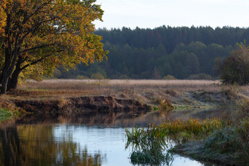 Summer landscape with views of the river with steep banks