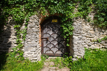 Fototapeta premium ancient wooden door on ancient stone wall with plants