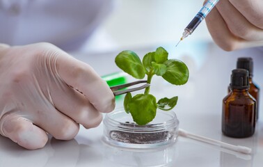 Biotechnology scientist working in the lab