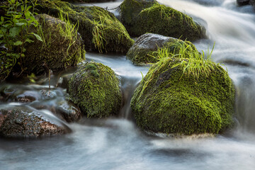 Fototapeta kamienie w bystrym nurcie rzeki obraz