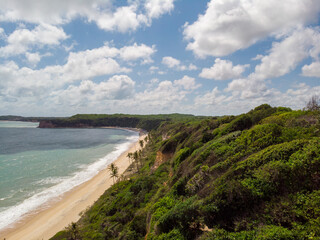 beach and sea and forest