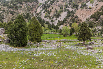 Fototapeta na wymiar Pasture landscape of Fann mountains, Tajikistan