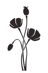 Vector brown silhouette of poppy flowers isolated on a white background.