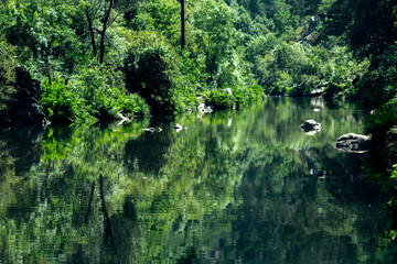View of the forest river in a mountainous area. Portugal.