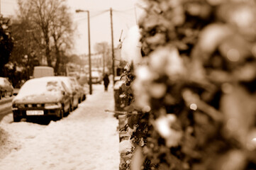 snow covered car