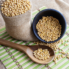 Soybeans - harvest in the state of Mato Grosso do Sul