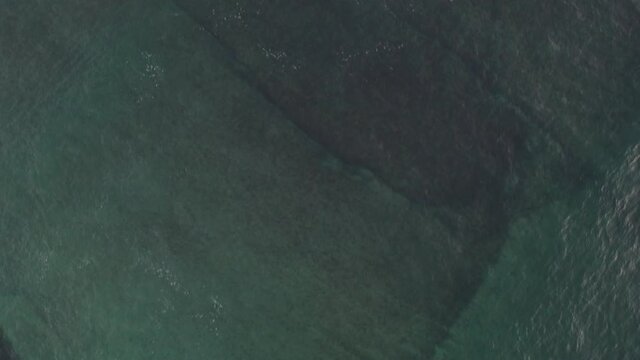 Drone aerial top above view of surfers surfing on the turquoise water sea with waves in Ericeira, Portugal