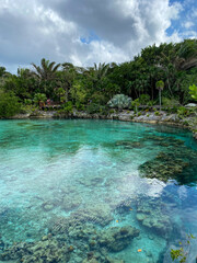 Fototapeta na wymiar Mexico, tropical island. sea with crystal clear water. natural reserve