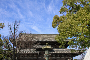 Fototapeta na wymiar 東寺
