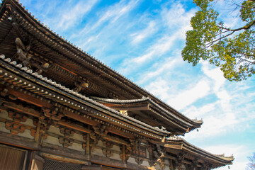Fototapeta na wymiar 東寺