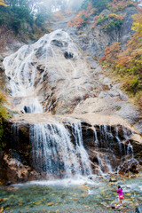 Splendid waterfall in autumn in the Hakusan Mountains, being contemplated by a happy tourist