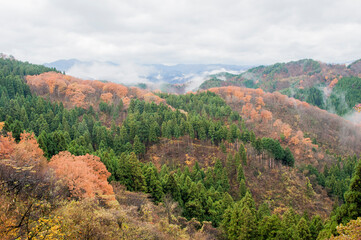Fototapeta premium Mountainous landscape, colorful in autumn, beauty and peace