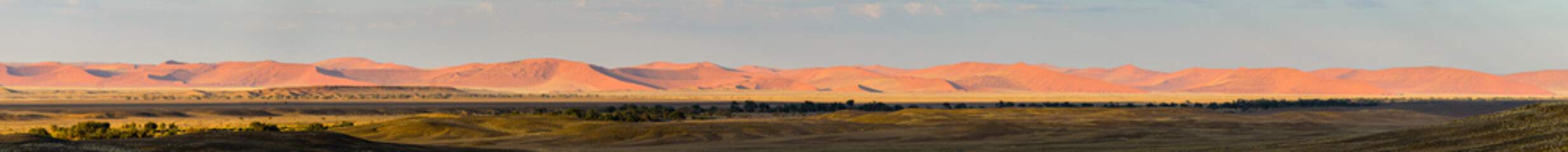 Fototapeta premium Namibian sand dunes panorama
